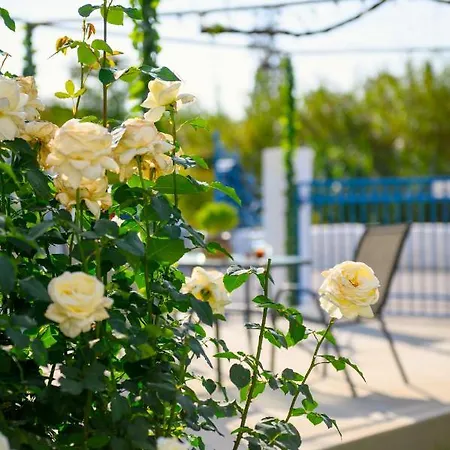 Verano * Panormos (Kalymnos)