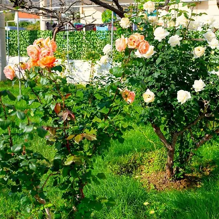 Verano * Panormos (Kalymnos)