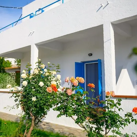 Verano Daire