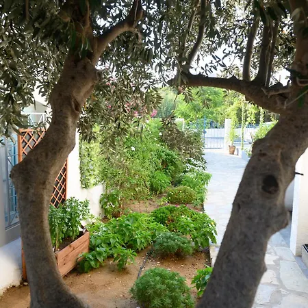Verano * Panormos (Kalymnos)