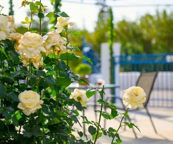 Verano * Panormos (Kalymnos)
