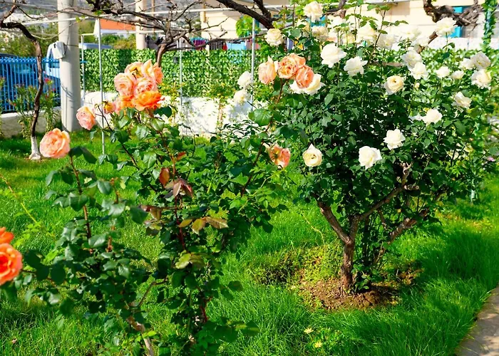 Verano * Panormos (Kalymnos)